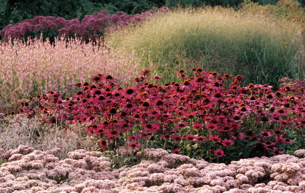 Discover Expert-Led Online Gardening Courses to Grow Your Skills and Confidence